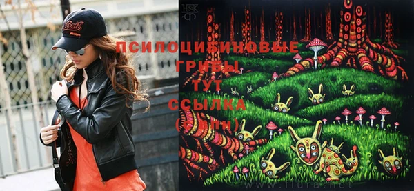 кокс Михайлов