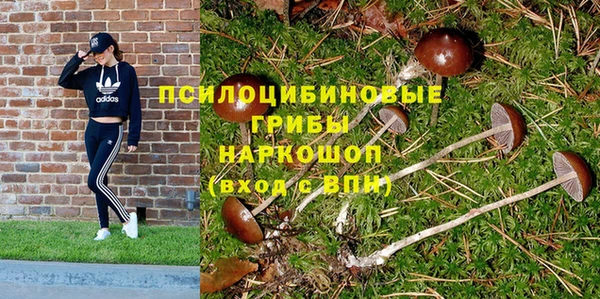 кокс Михайлов