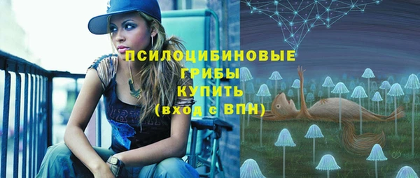 кокс Михайлов