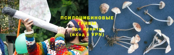 каннабис Михайловка
