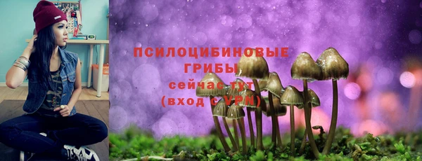каннабис Михайловка